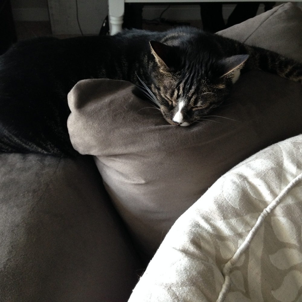 Meet your Posher, Cady